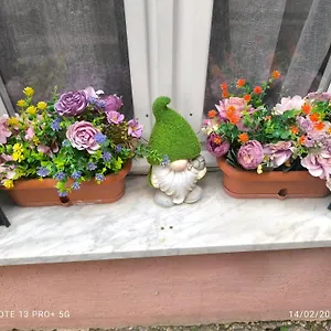  Bed & Breakfast I Colori Di